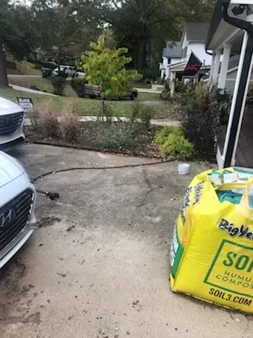 tree removal project in Lawrenceville GA
