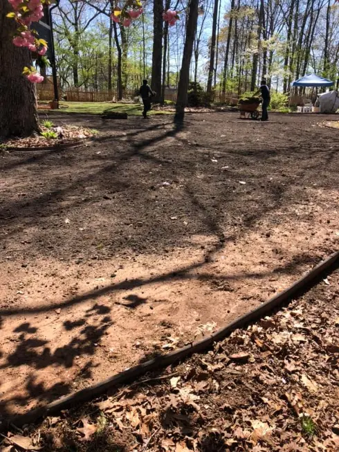 residential tree pruning results