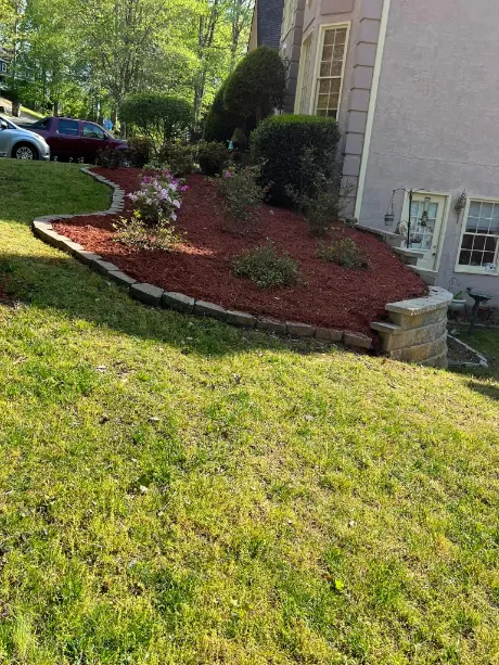 sod installation before and after