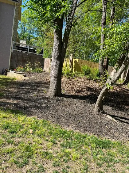 property cleanup services Georgia
