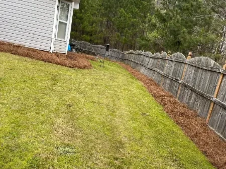 brush clearing service